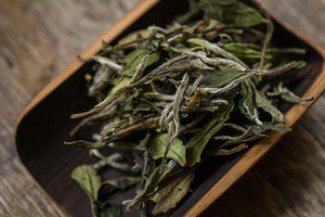 WHITE TEA