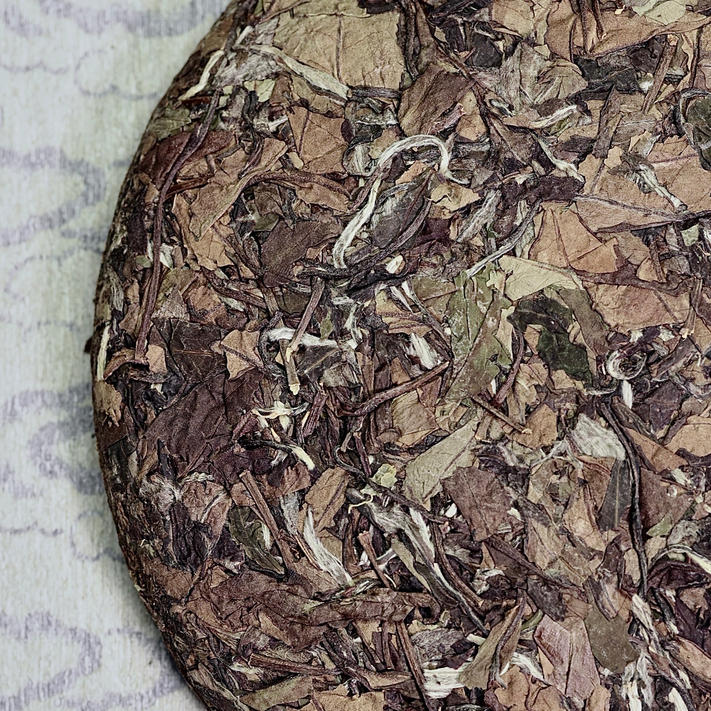 2018 Yu Zhi Ya Shoumei White Tea 玉芷芽壽眉