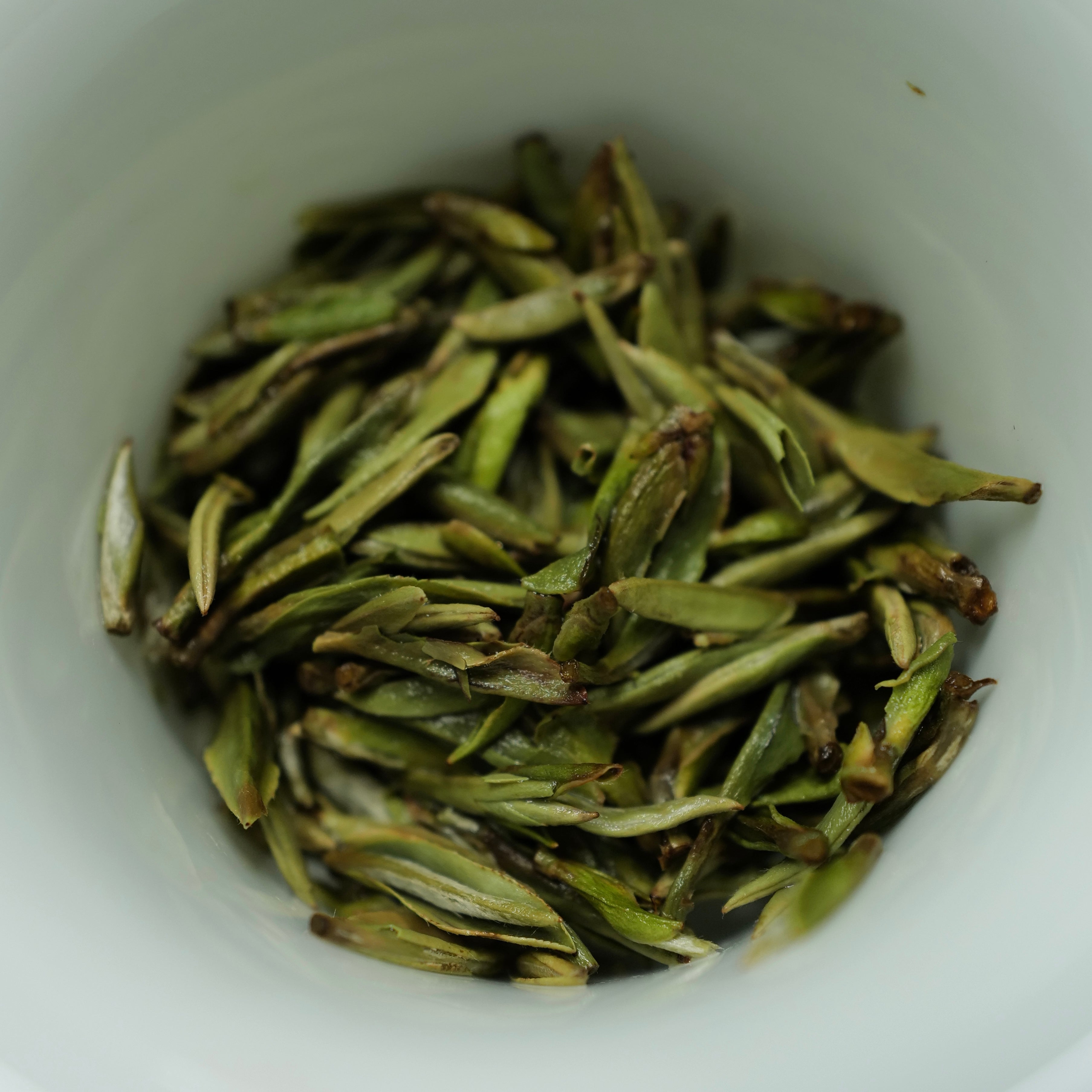 2022 Fuding First Spring Picked silver needle white tea 福鼎頭採白毫銀針