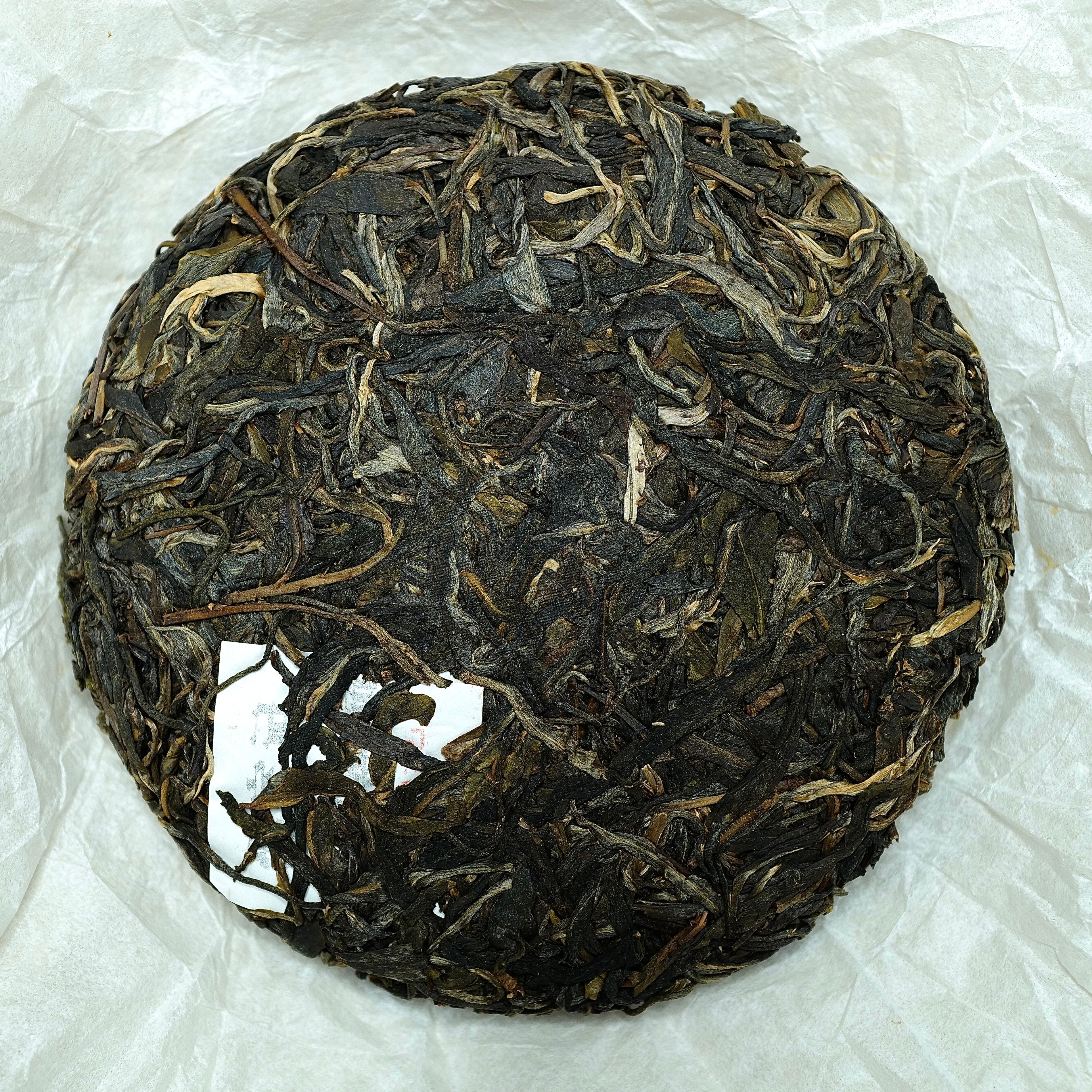 2019 Yiwu Mang She Qing Raw Puerh Tea 易武蟒蛇箐古樹生普洱茶