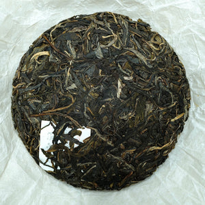 2019 Yiwu Mang She Qing Raw Puerh Tea 易武蟒蛇箐古樹生普洱茶