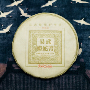 2019 Yiwu Mang She Qing Raw Puerh Tea 易武蟒蛇箐古樹生普洱茶