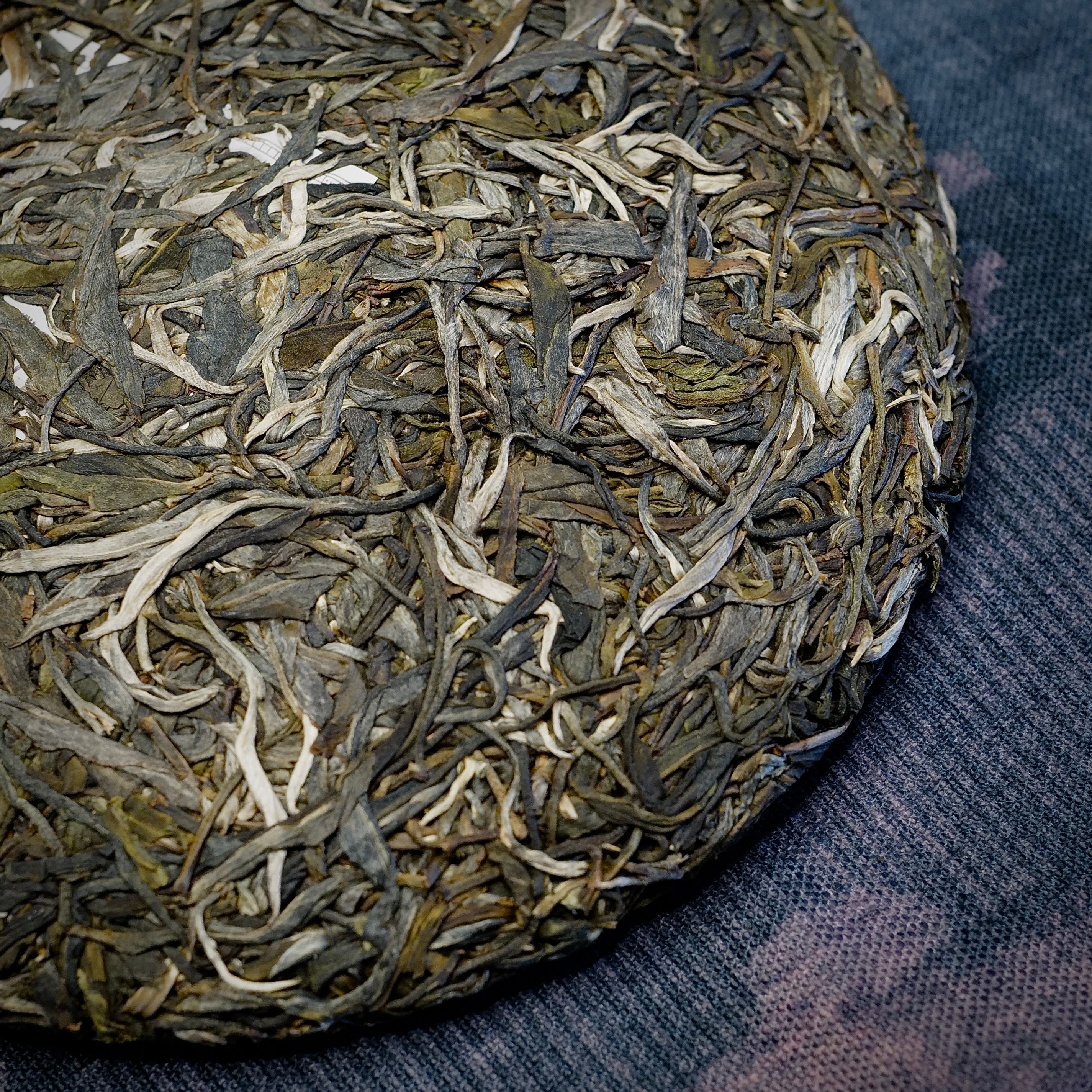 2022 Molie Gushu Raw Puerh Tea 磨烈古樹生普洱茶