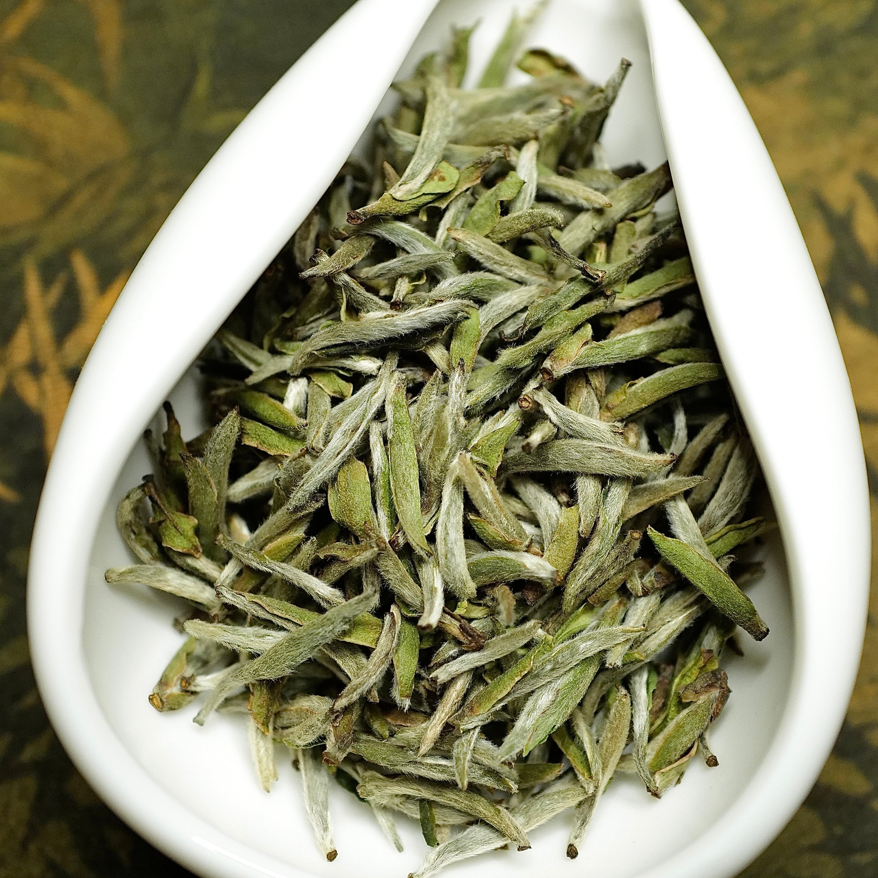 2022 Fuding First Spring Picked silver needle white tea 福鼎頭採白毫銀針