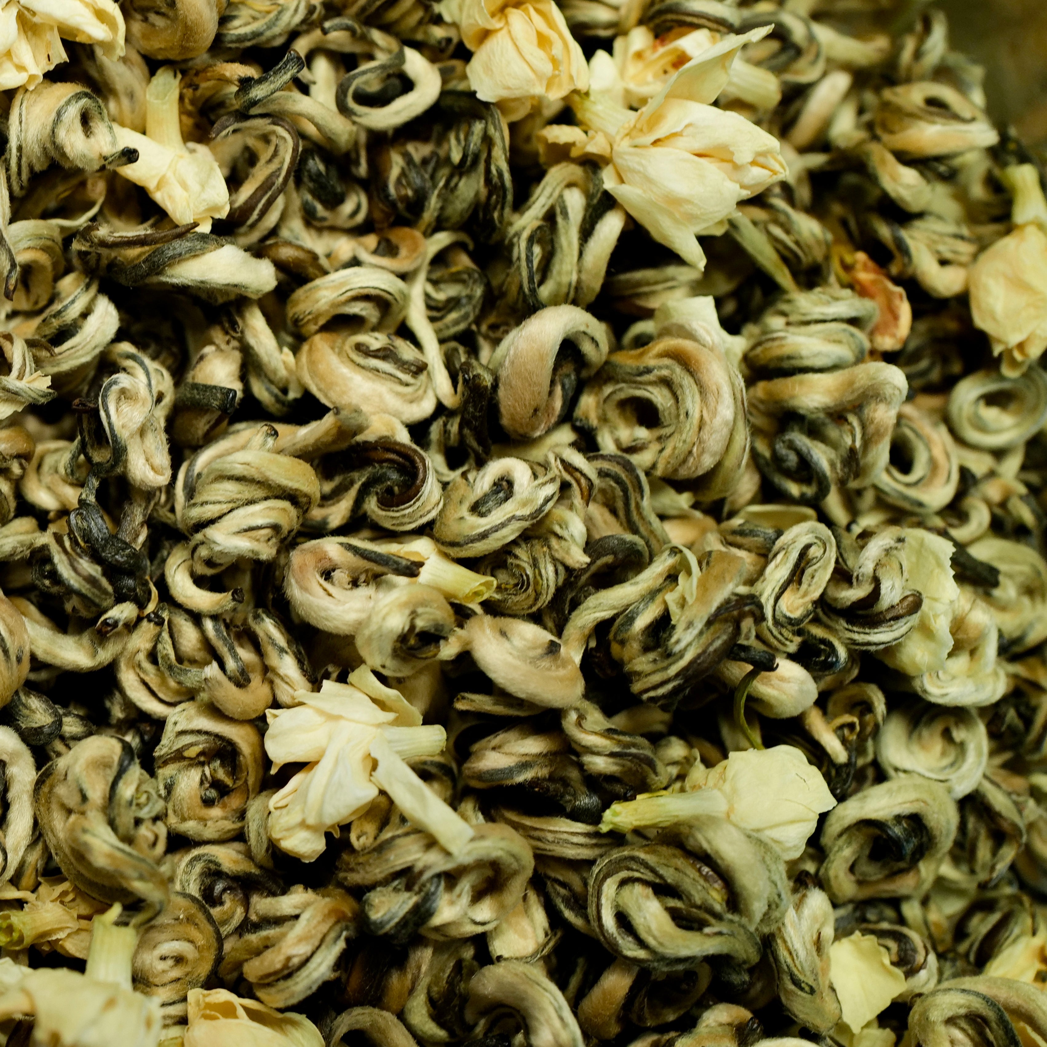 Jade Conch Jasmine Tea 玉螺茉莉花茶