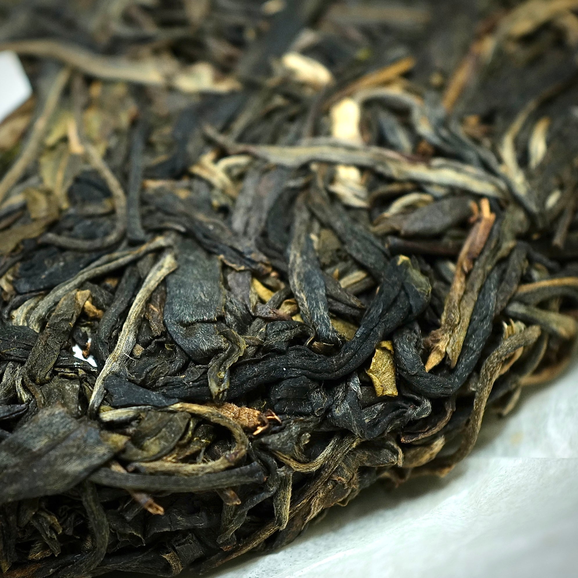 2019 Yiwu Mang She Qing Raw Puerh Tea 易武蟒蛇箐古樹生普洱茶